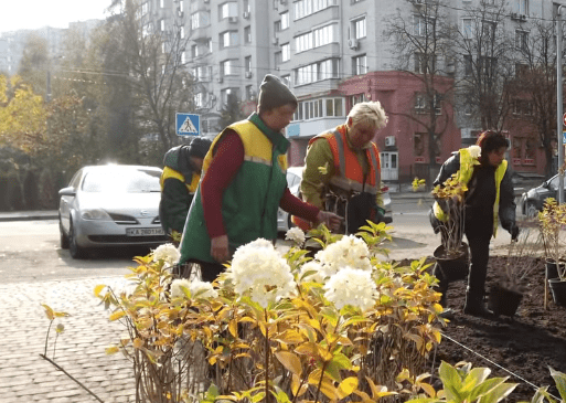 У столичному парку «Юність» висадили 350 декоративних кущів