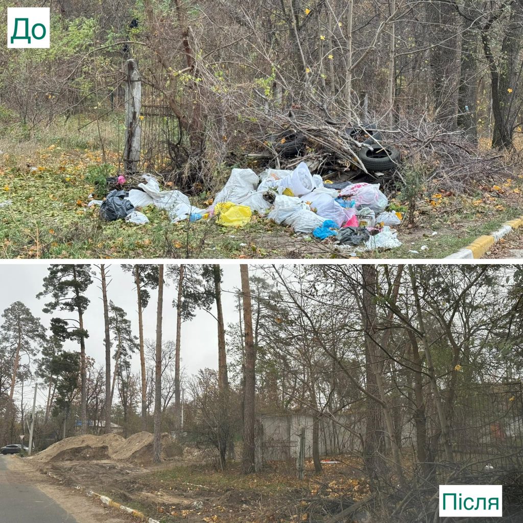 В Ірпінській громаді триває масштабна осіння толока