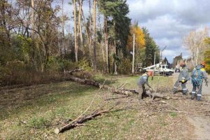 На Київщині ліквідували наслідки негоди