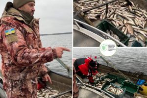 На Канівському водосховищі рибалка наловив риби зі збитком у мільйон гривень