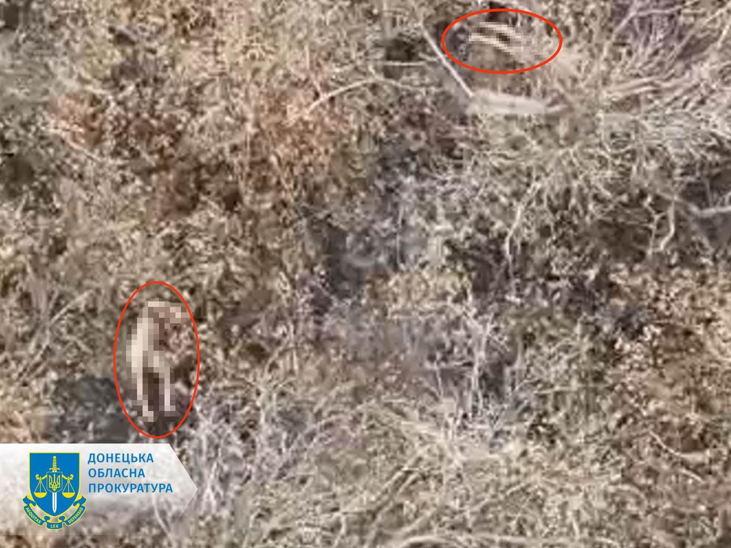 На Покровському напрямку окупанти розстріляли полонених українських військовослужбовців - ОГП