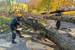 У Києві ліквідовують наслідки шквального вітру (фото)