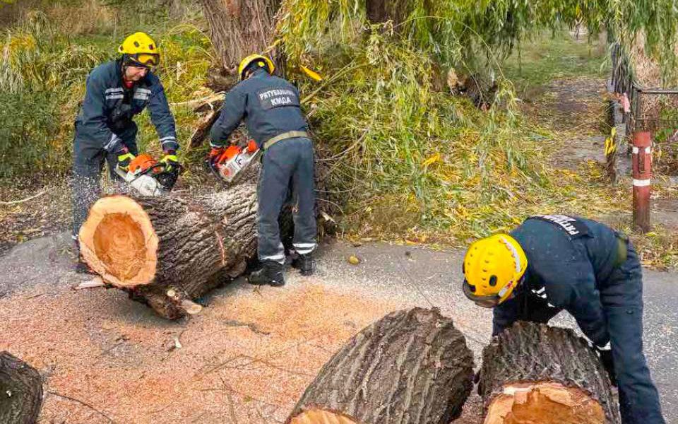 У Києві ліквідовують наслідки шквального вітру (фото)