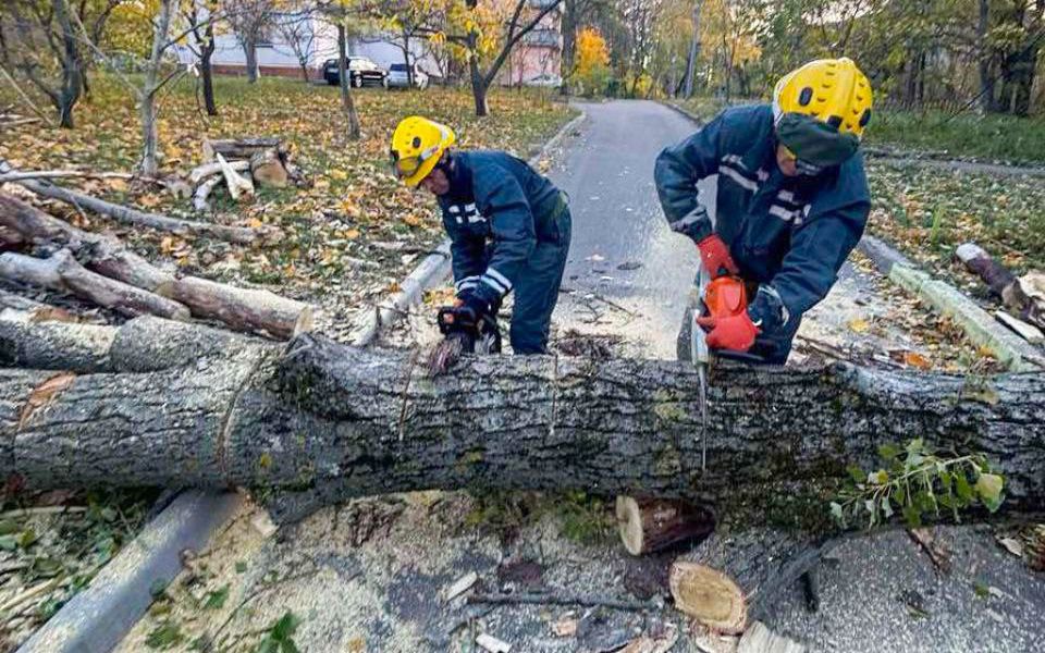 У Києві ліквідовують наслідки шквального вітру (фото)