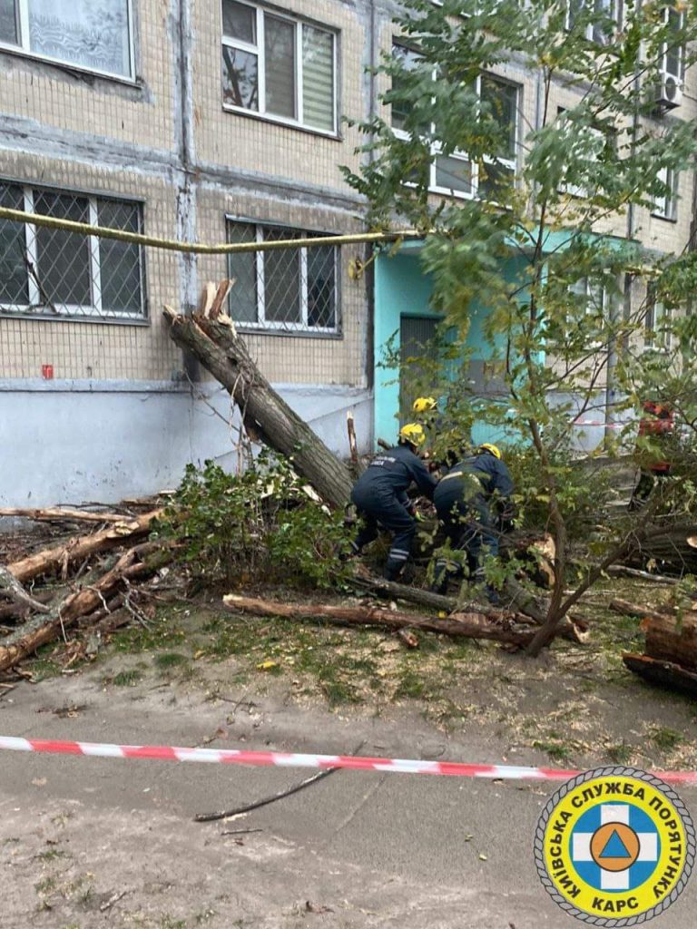 У Києві ліквідовують наслідки шквального вітру (фото)