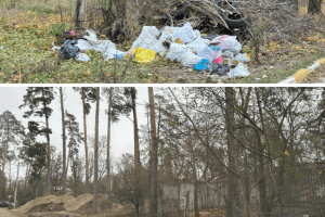 В Ірпінській громаді триває масштабна осіння толока