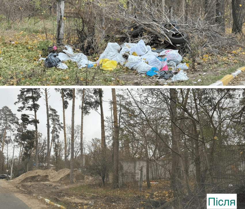 В Ірпінській громаді триває масштабна осіння толока