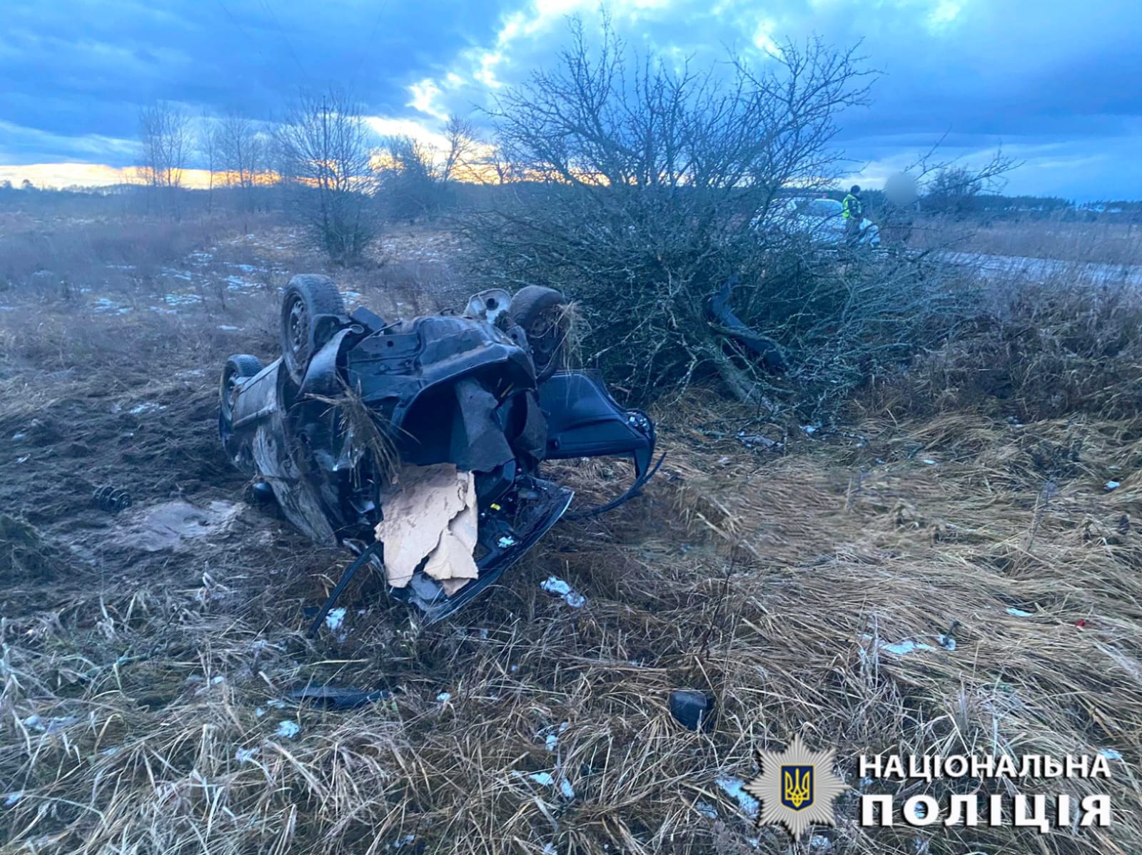 На Вишгородщині водій на підпитку не впорався з керуванням, пасажир загинув на місці