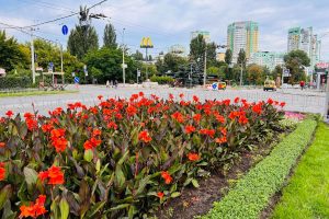 Сквер на Вишгородській відремонтують за 1,6 млн гривень