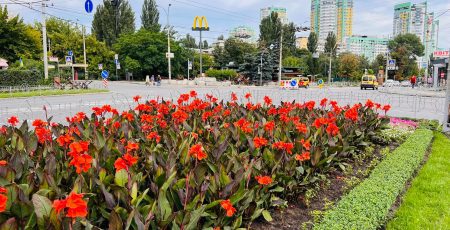 Сквер на Вишгородській відремонтують за 1,6 млн гривень