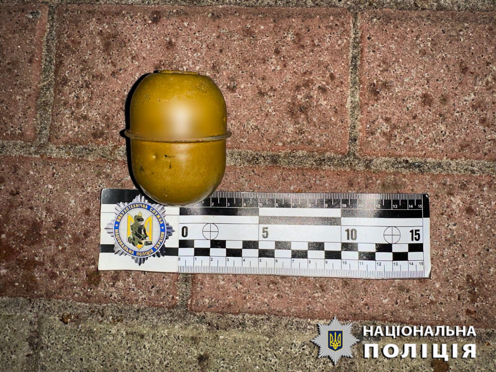 Поліцейські затримали 51-річного ірпінця, який зберігав вдома арсенал боєприпасів