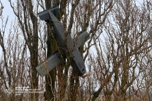 На Київщині ворожий безпілотник застряг у дереві (фото)