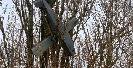 На Київщині ворожий безпілотник застряг у дереві (фото)