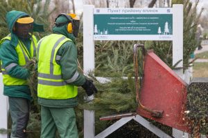 У Києві з 2 січня 78 пунктів прийматимуть на утилізацію новорічні дерева (локації)