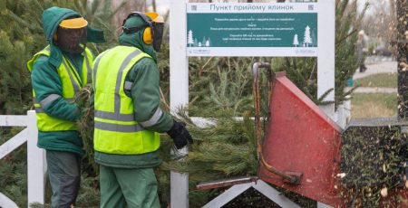 У Києві з 2 січня 78 пунктів прийматимуть на утилізацію новорічні дерева (локації)