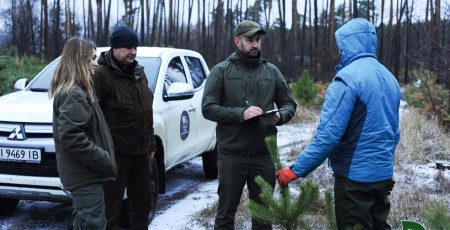 Нелегальні ялинки: у Столичному окрузі - 142 випадки нелегального продажу дерев