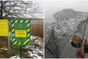 ТОВ «Забір'я» зірвало виконання Програми розвитку галузі рибного господарства Київщини