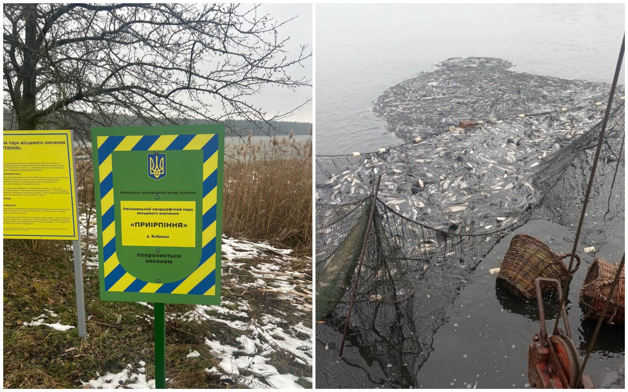 ТОВ «Забір'я» зірвало виконання Програми розвитку галузі рибного господарства Київщини