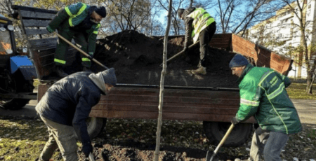 У Деснянському районі комунальники висадили півтори сотні лип