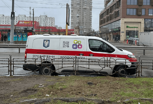 Під час демонтажу на Оболоні виявилось, що окремі МАФи стали місцем зимівлі їжачків (фото)