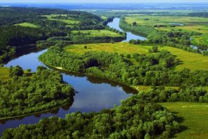 Водно-болотне угіддя «Гирло річки Прип’ять» може отримати статус міжнародного значення