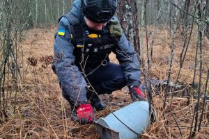 У Вишгородському районі лісничі знайшли бойову частину ворожого БпЛА (фото)