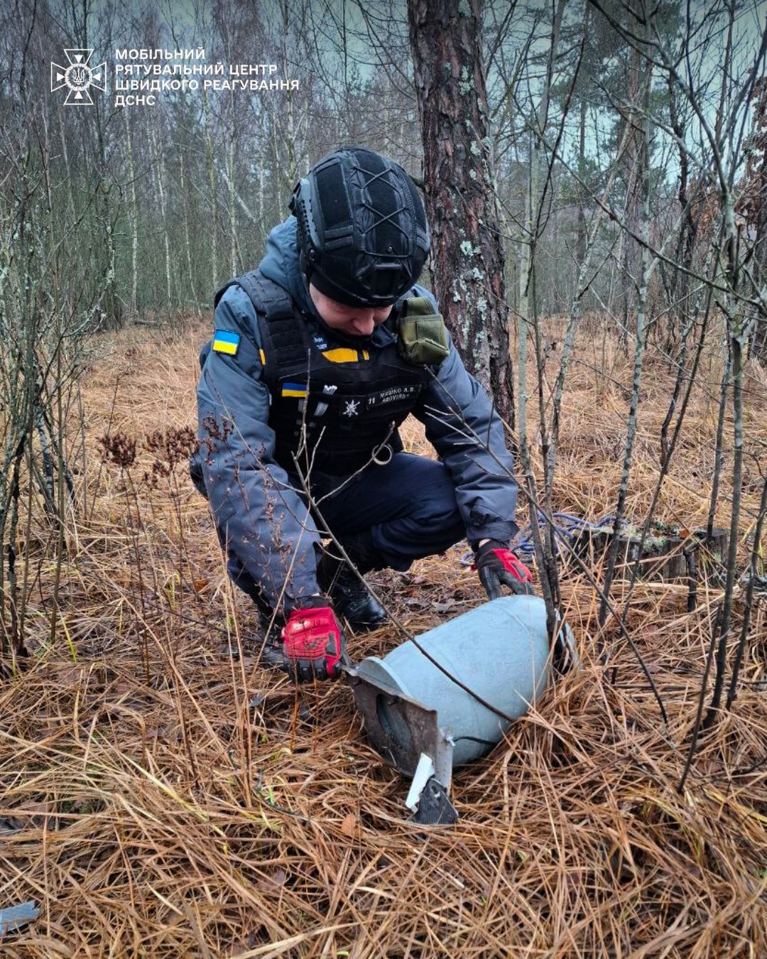 У Вишгородському районі лісничі знайшли бойову частину ворожого БпЛА (фото)