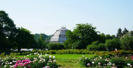 Екологічна прокуратура перевіряє законність забудови в ботсаду імені Гришка