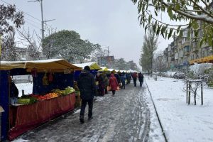 Продуктові ярмарки: стало відомо, де цього тижня запастись фермерським товаром