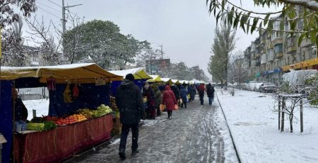 Продуктові ярмарки: стало відомо, де цього тижня запастись фермерським товаром