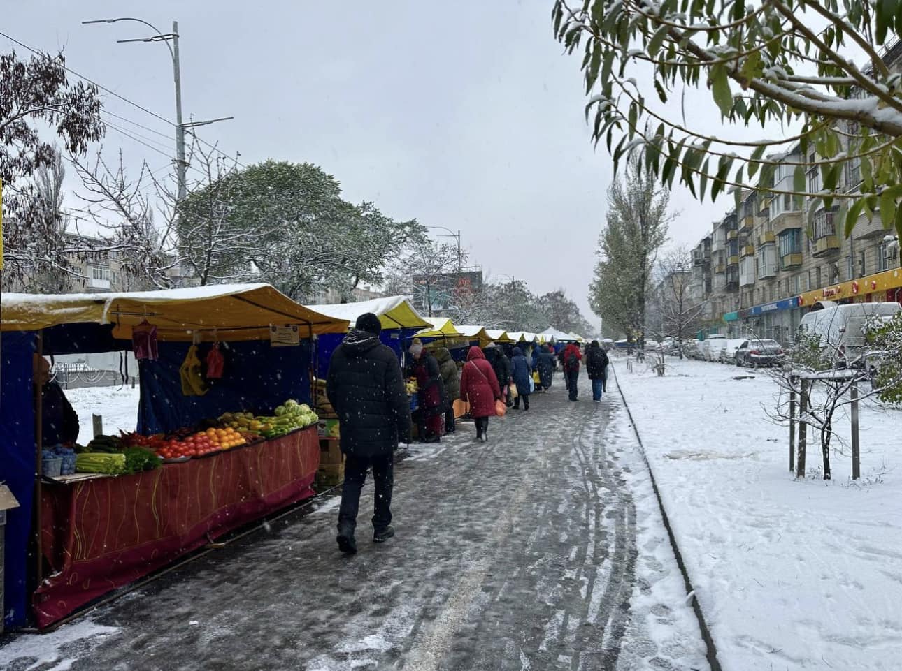 Продуктові ярмарки: стало відомо, де цього тижня запастись фермерським товаром