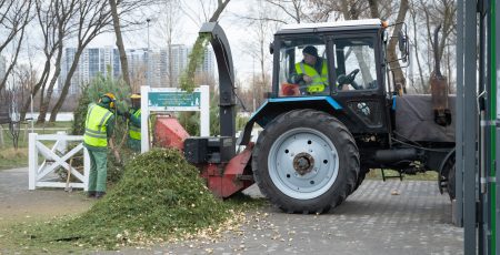 У Києві пункти прийому новорічних ялинок і сосен ще працюють