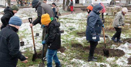 Буча майже на 1,5 млн гривень накупила саджанців кленів та вишень