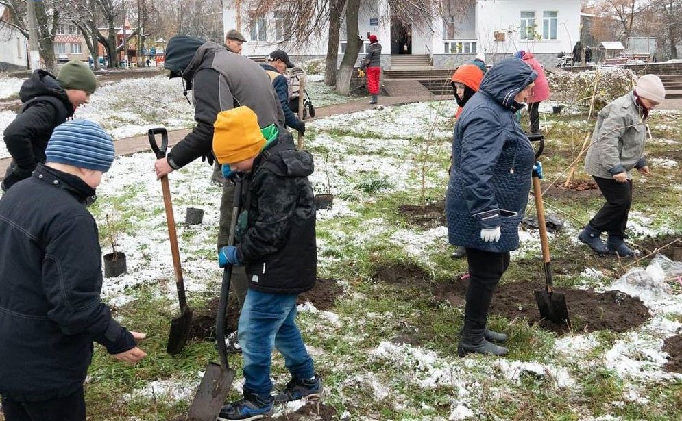 Буча майже на 1,5 млн гривень накупила саджанців кленів та вишень