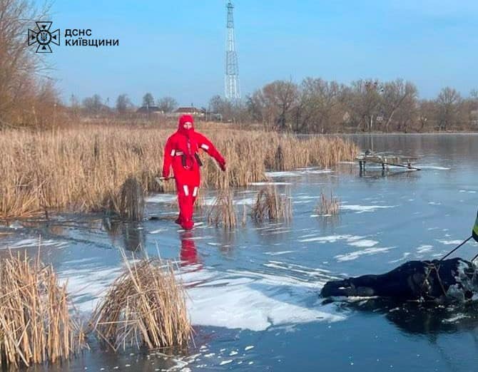 На Білоцерківщині зі ставка у селищі Самгородок дістали тіло пенсіонера