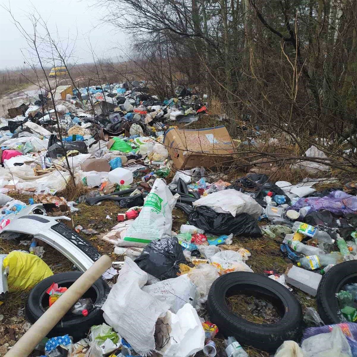 Українка витратить 1 млн гривень на ліквідацію стихійних сміттєзвалищ