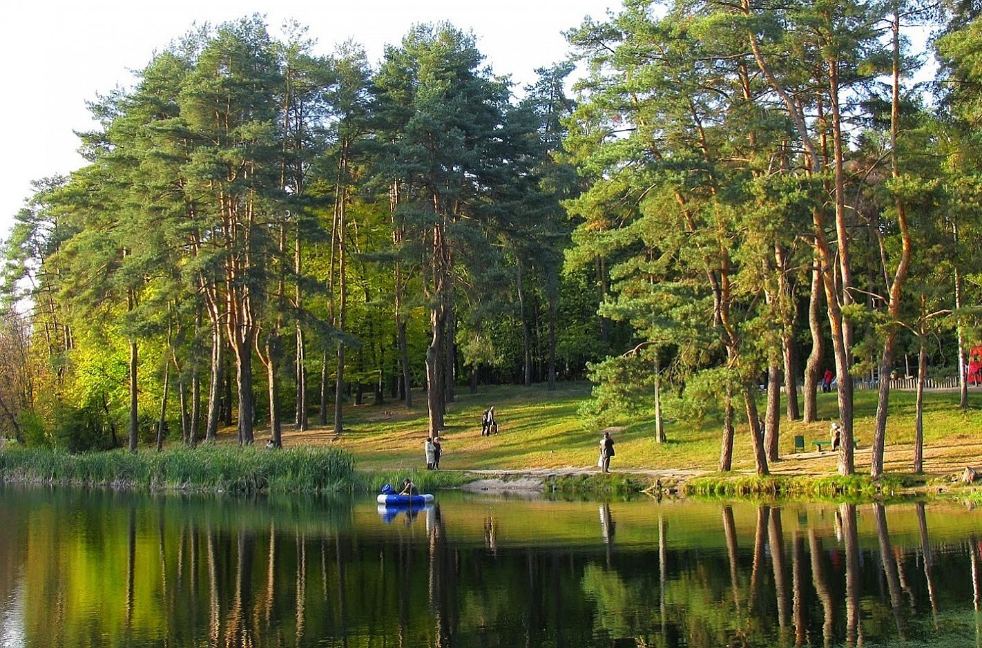 Для зелених зон Голосієва закуповують три десятки лавок