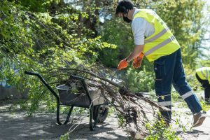 Загальноміська толока у Києві відбудеться 5 квітня