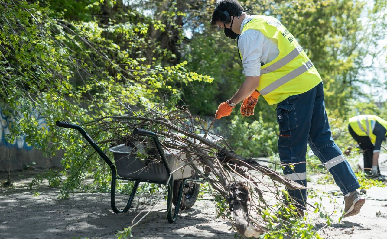 Загальноміська толока у Києві відбудеться 5 квітня