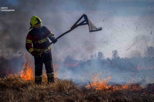 У Дарницькому районі виникла пожежа в заказнику "Осокорківські луки"