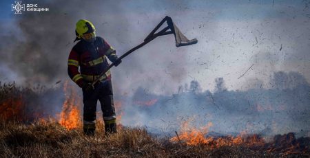 У Дарницькому районі виникла пожежа в заказнику "Осокорківські луки"