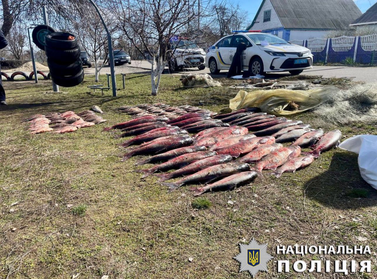 Неподалік Білої Церкви правоохоронці виявили браконьєра з уловом на майже 900 тисяч гривень