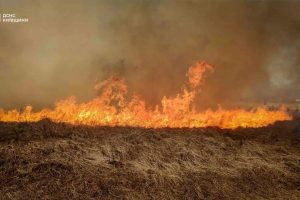 На Бучанщині при ліквідації пожежі спричиненій спалюванням сухостою врятували 3-х дітей