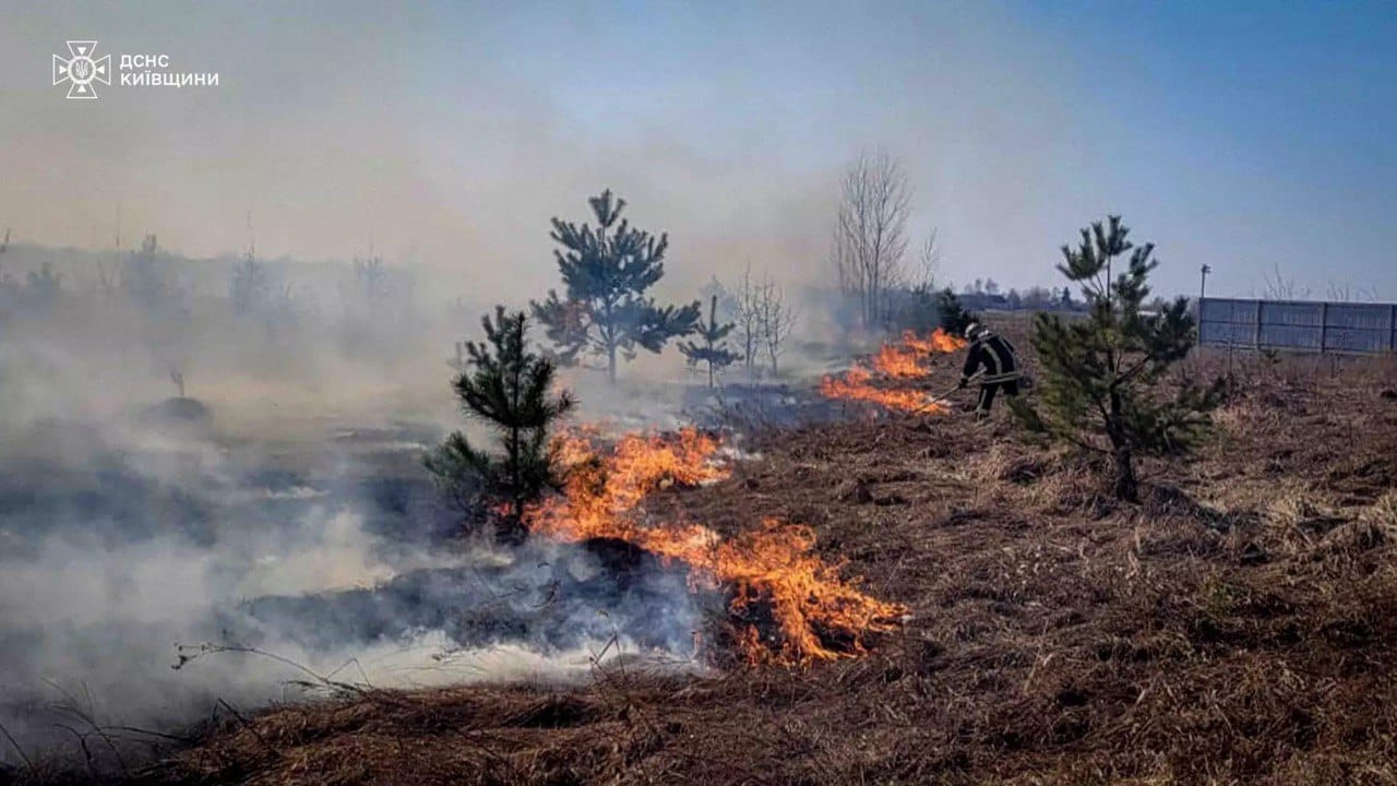 На Бучанщині при ліквідації пожежі від спалювання сухостою врятували 3-х дітей