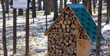 Столичні комунальники облаштували 38 будиночків для комах (локації)