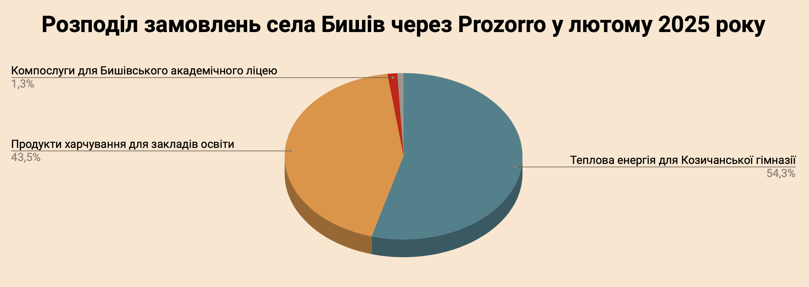 Справи насущні: скільки та на що у лютому 2025-го витрачав Бишів