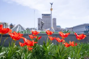 У Києві зафіксований температурний рекорд У Києві зафіксований температурний рекорд