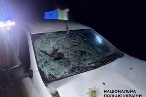 На Київщині водій легковика на смерть збив пішохода На Київщині водій легковика на смерть збив пішохода