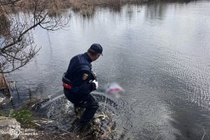 У Дарницькому районі рятувальники дістали тіло жінки з озера У Дарницькому районі рятувальники дістали тіло жінки з озера