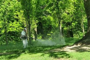 У столиці проводять обробку від кліщів у парках і скверах (локації) У столиці проводять обробку від кліщів у парках і скверах (локації)